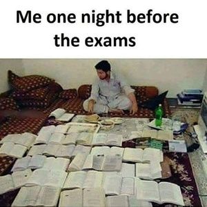 Meet your Posher, Lizbeth